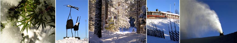 Vinterbilder från Hemlingbyberget © Foto - Dan Magnusson